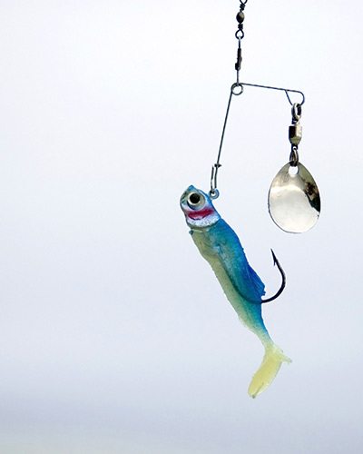 types of fishing tackle